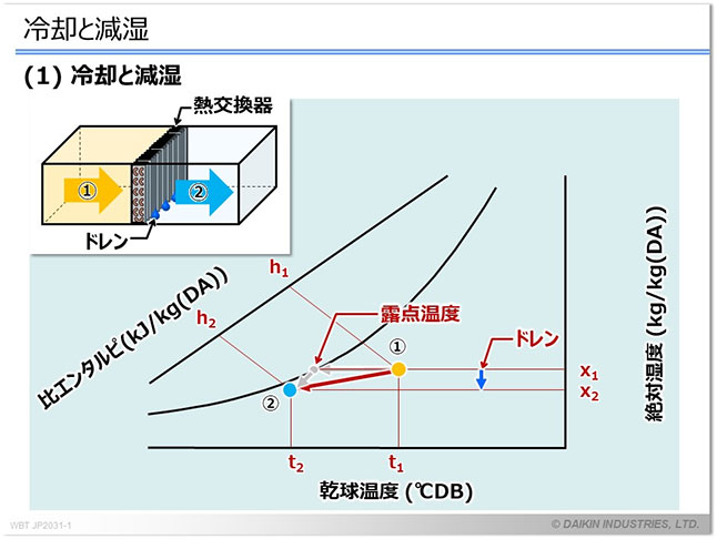 テキストサンプル